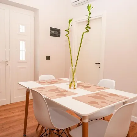 Bougainvilla * Tirana